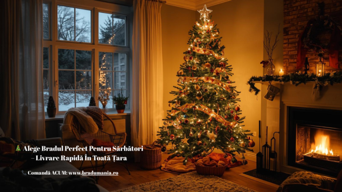 Bradul Crăciun Perfect Există